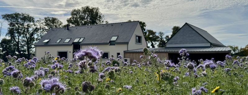 Réhabilitation d’un patrimoine bâti en maison d’habitation – MORBIHAN (56) Réhabilitation d’un patrimoine bâti en maison d’habitation – MORBIHAN (56)